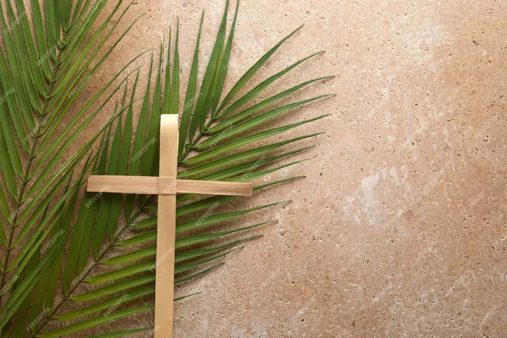 Chúa nhật Lễ Lá 2024 cành thiên tuế